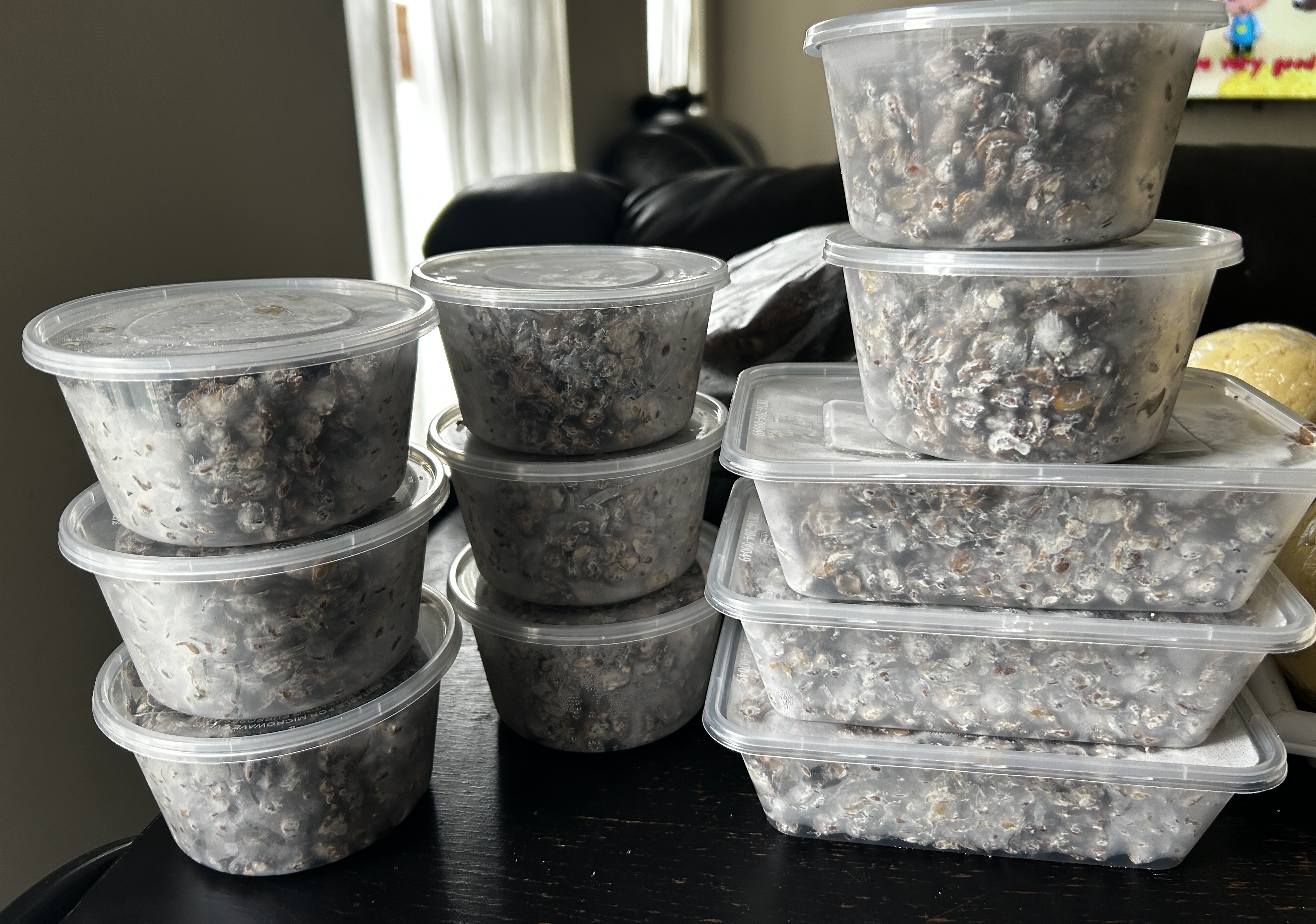 Fresh Iru (Locust Beans)